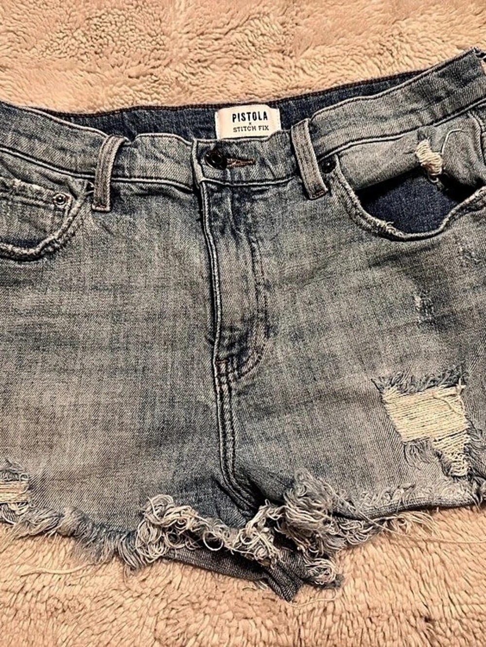 Pistola Stitch Fix Distressed Denim Jean Shorts in Blue Waist 29